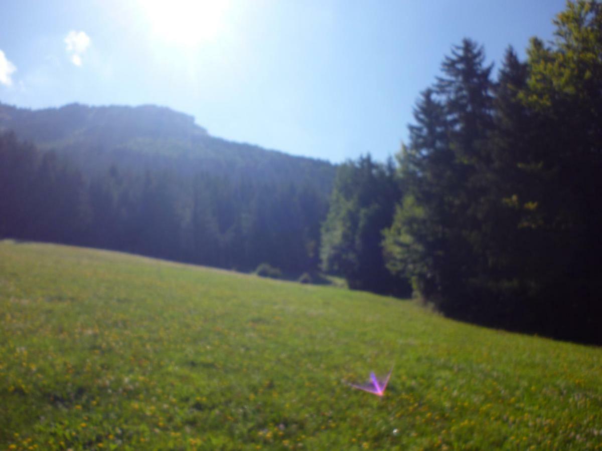 Le Chalet De La Conversaria Bed & Breakfast Villard-de-Lans Exterior photo